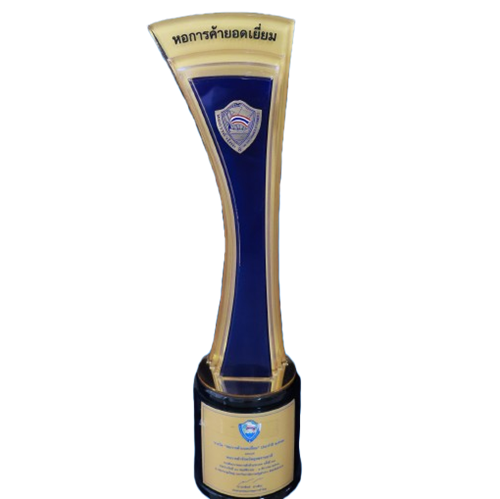 IMG_6481-removebg-preview