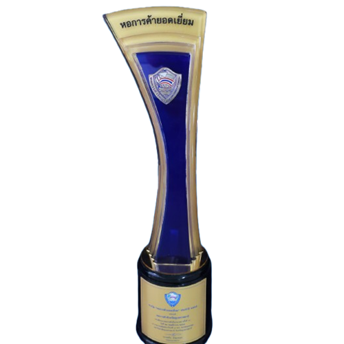 IMG_6487-removebg-preview