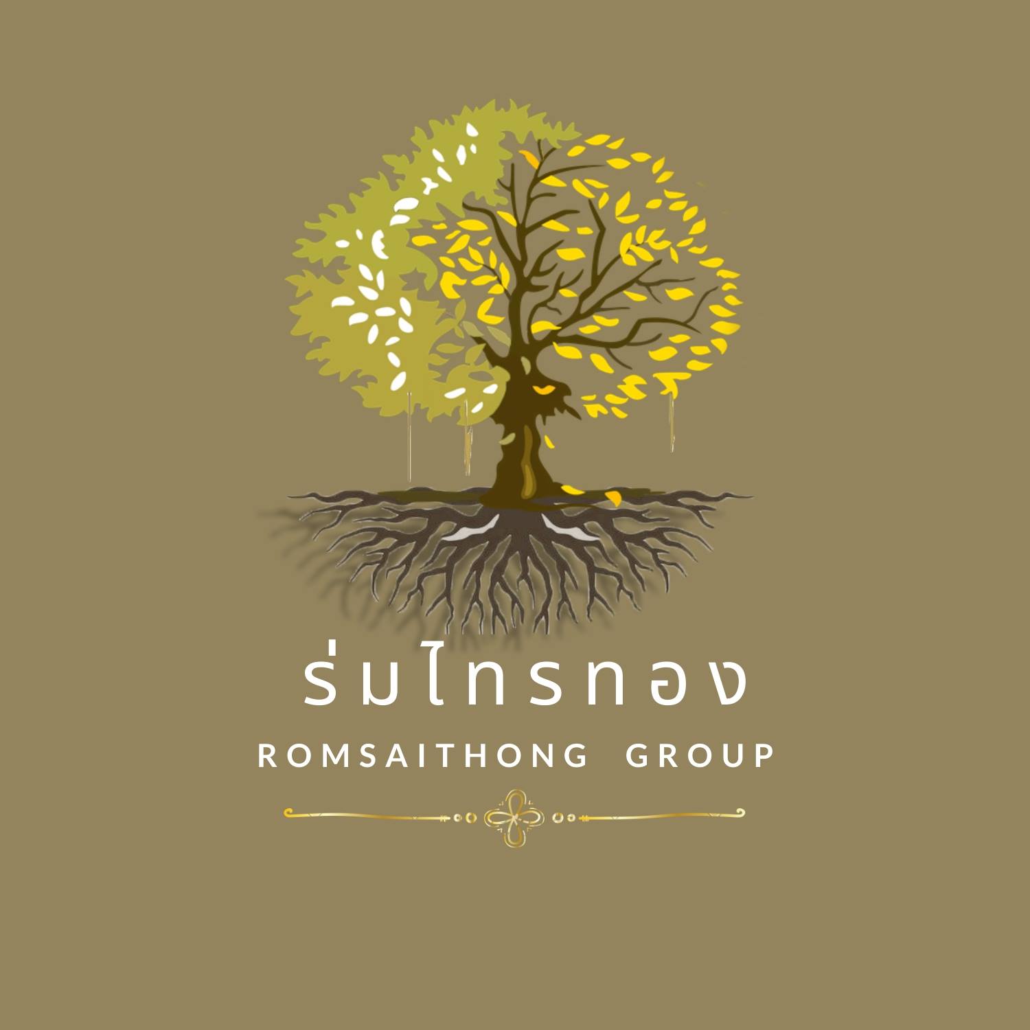 310288809_767382154301684_5559589439247630656_n