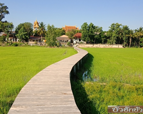 oppo_0
