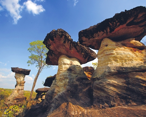 Sao Chaliang in Pha Taem National Park, Ubon Ratchathan
Published in Osotho Magazine, Issued : June,2010 *** Local Caption *** à¹€à¸ªà¸²à¹€à¸‰à¸¥à¸µà¸¢à¸‡à¹ƒà¸™à¸­à¸¸à¸—à¸¢à¸²à¸™à¹à¸«à¹ˆà¸‡à¸Šà¸²à¸•à¸´à¸œà¸²à¹à¸•à¹‰à¸¡ à¸ˆà¸±à¸‡à¸«à¸§à¸±à¸”à¸­à¸¸à¸šà¸¥à¸£à¸²à¸Šà¸˜à¸²à¸™à¸µ
à¹ƒà¸™à¸ªà¸²à¸£à¸„à¸”à¸µà¹‚à¸‚à¸‡à¹€à¸ˆà¸µà¸¢à¸¡ à¹ƒà¸™à¸¥à¸¡à¸«à¸²à¸¢à¹ƒà¸™à¹à¸«à¹ˆà¸‡à¸ªà¸²à¸¢à¸™à¹‰à¸³à¹‚à¸‚à¸‡ à¸­à¸™à¸¸à¸ªà¸²à¸£ à¸­à¸ªà¸—. à¸›à¸£à¸°à¸ˆà¸³à¹€à¸”à¸·à¸­à¸™à¸¡à¸´à¸–à¸¸à¸™à¸²à¸¢à¸™ 2553